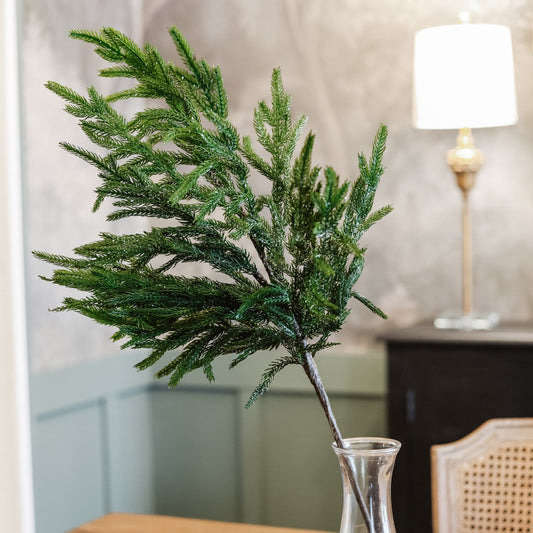 Norfolk Pine Stem 34"