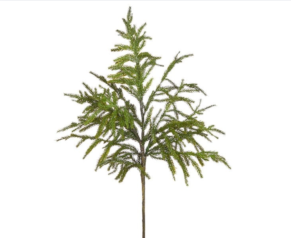 Norfolk Pine Stem 34"